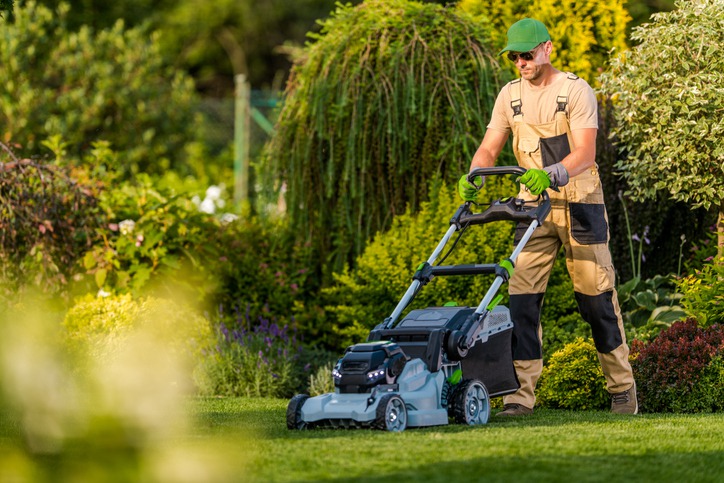 Why Invest in Professional Lawn Care Services?