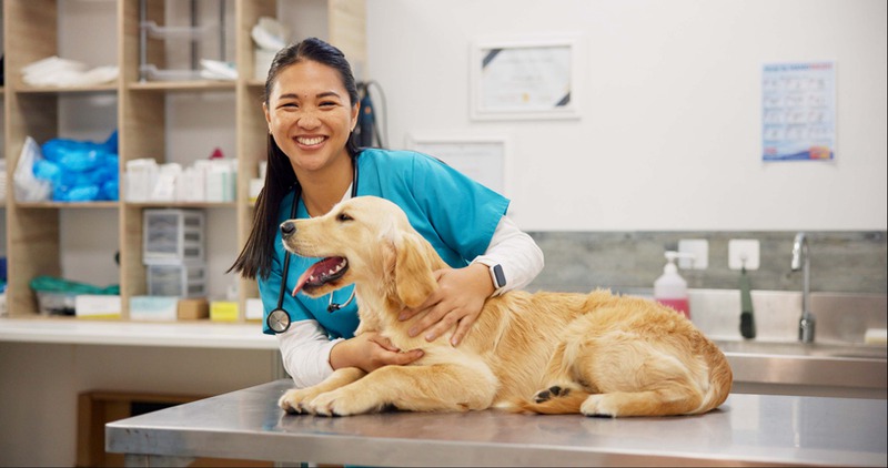 Common Veterinary Services and When Your Pet Needs Them